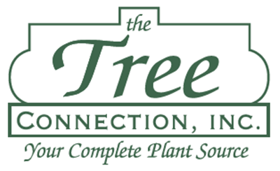 The Tree Connection